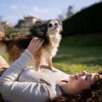 Chihuahua : guide pratique pour propriétaires